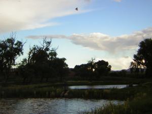 El estanque de el rancho El Refugio, en Temósachi, Chihuahua.