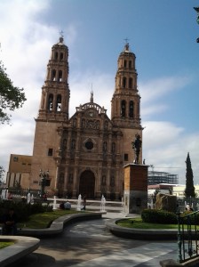 entre barbaros y cardos