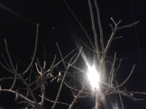 nuestro amor es triste