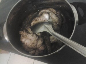 pulpo estilo yogh sothoth 2