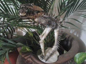 la tierra es hueca 1