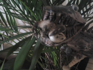 la tierra es hueca 3