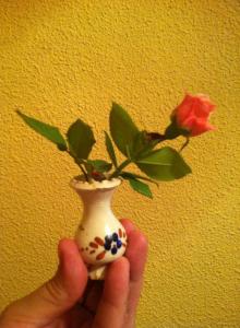 Apuntes de mayo a junio de 2015 2