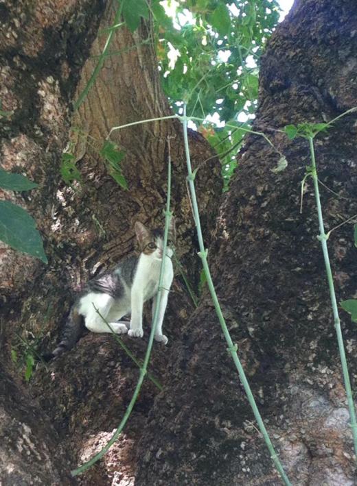 Apuntes de julio a agosto de 2015 3