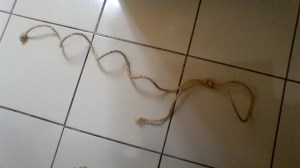 ¡Reconocido por los pelos!