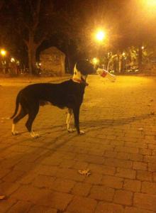 Apuntes de septiembre a octubre de 2015 2